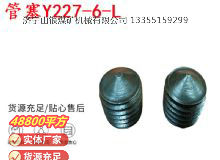 點(diǎn)擊查看詳細(xì)信息<br>標(biāo)題：英格索蘭隔膜泵配件管塞Y227-6-L 閱讀次數(shù)：394